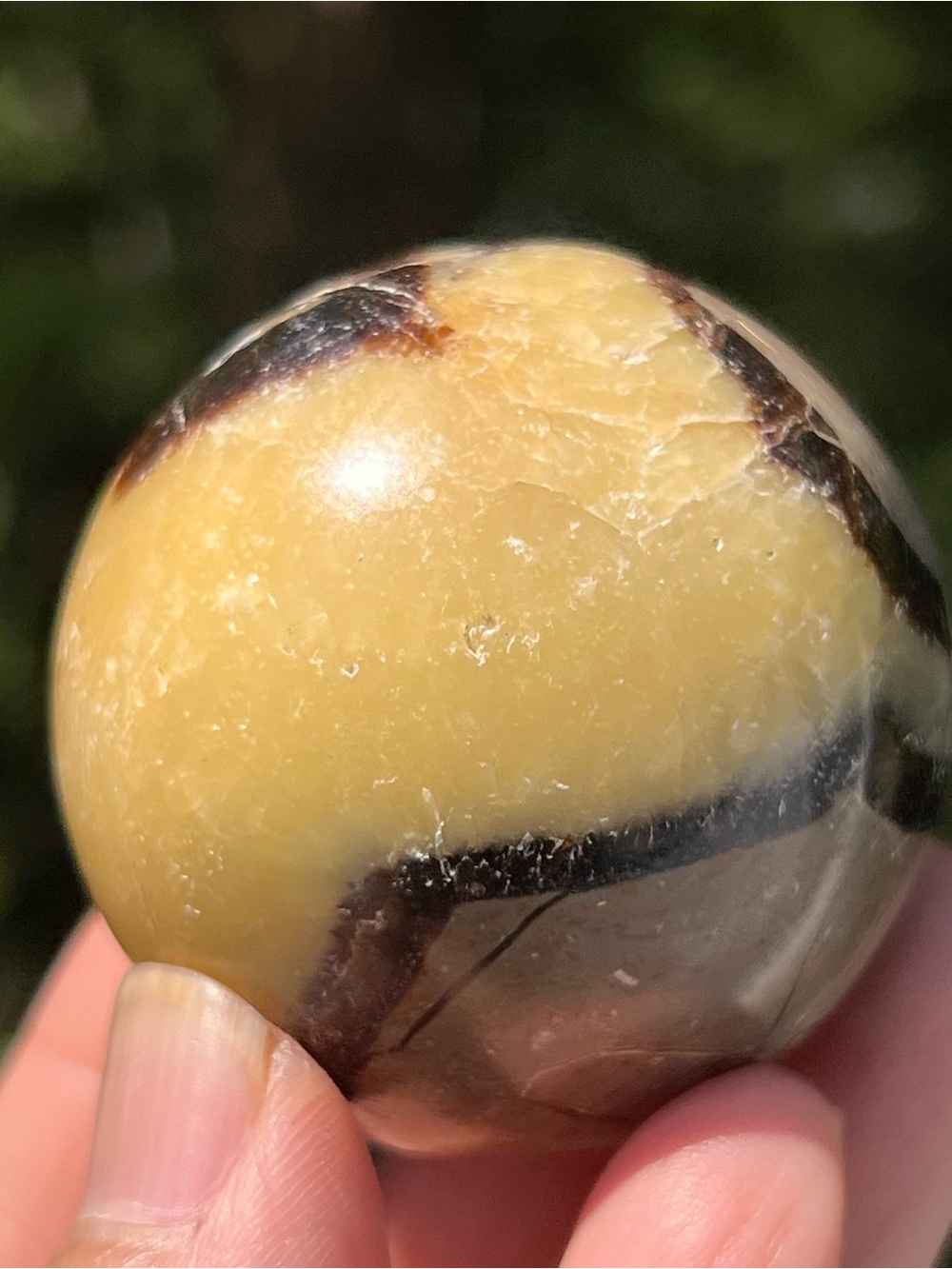 Septarian (3) irregular sphere | crystal